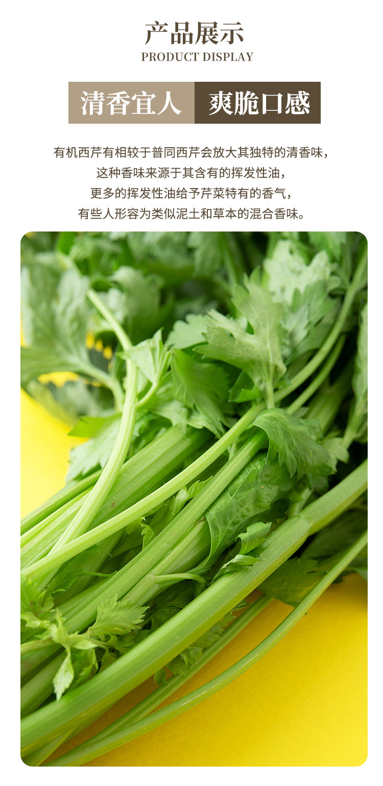 有机西芹-通用_05.jpg