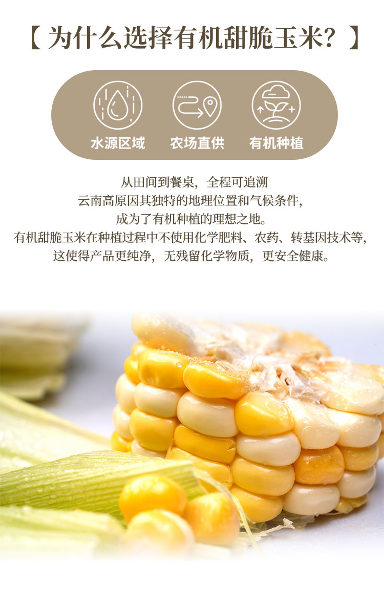 有机甜脆玉米-通用_02.jpg