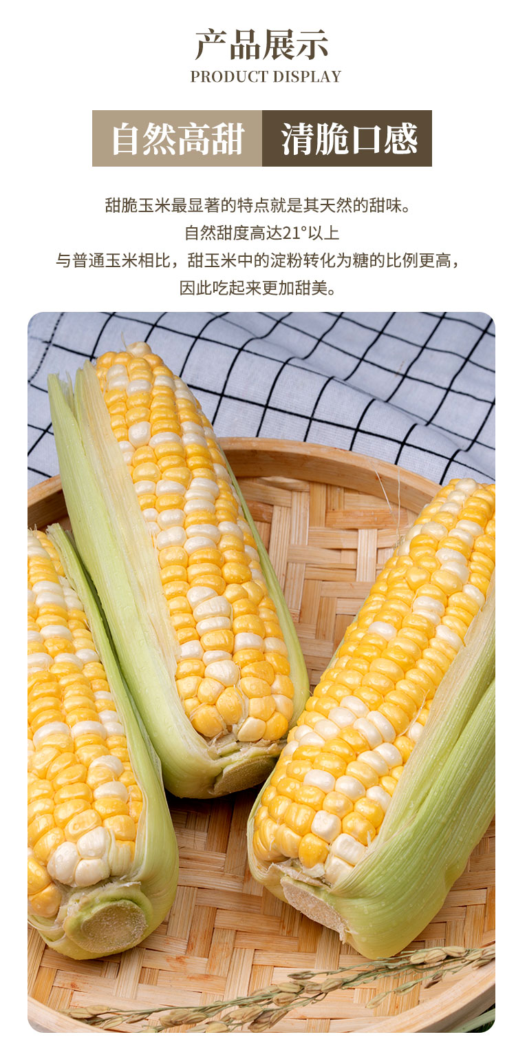 有机甜脆玉米-通用_05.jpg