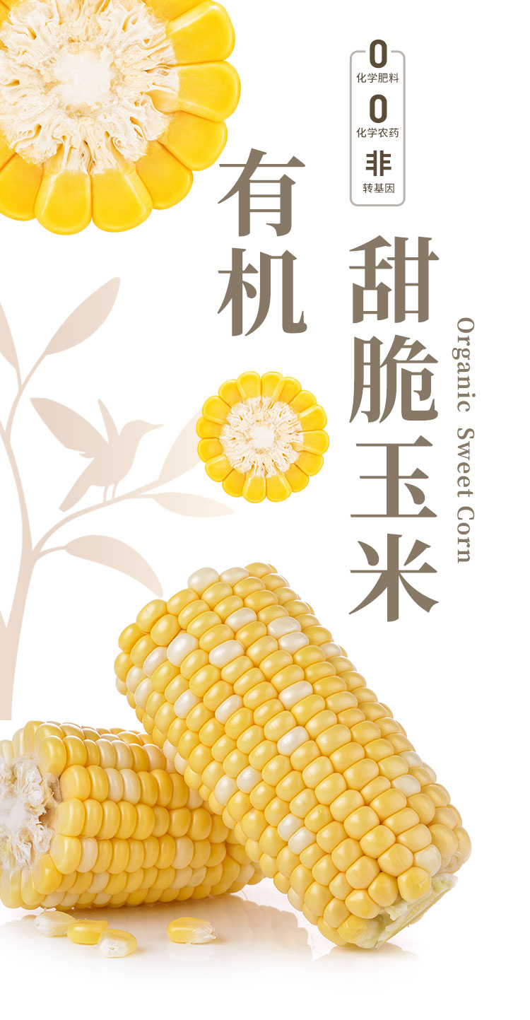 有机甜脆玉米-通用_01.jpg