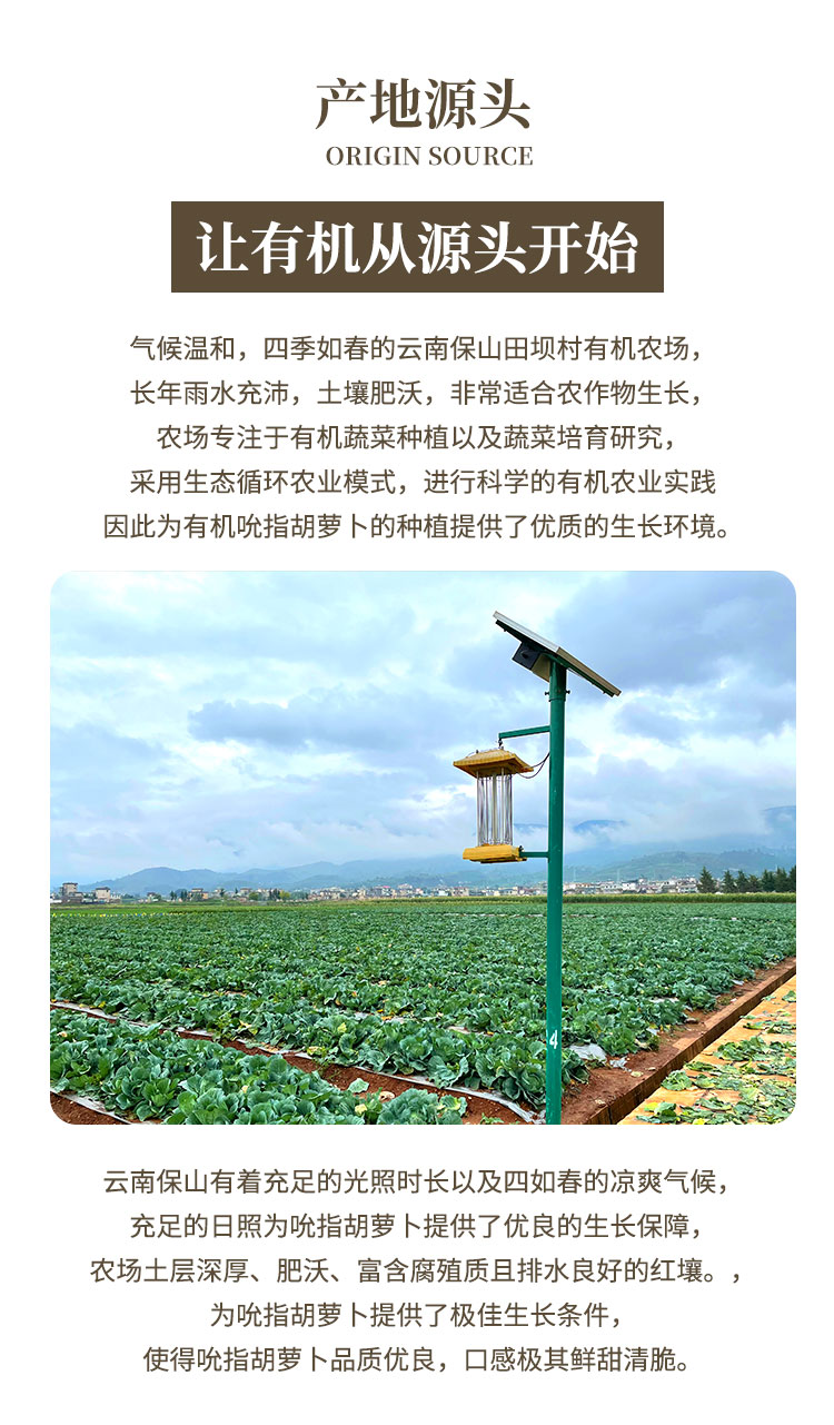 有机吮指胡萝卜-通用_03.jpg