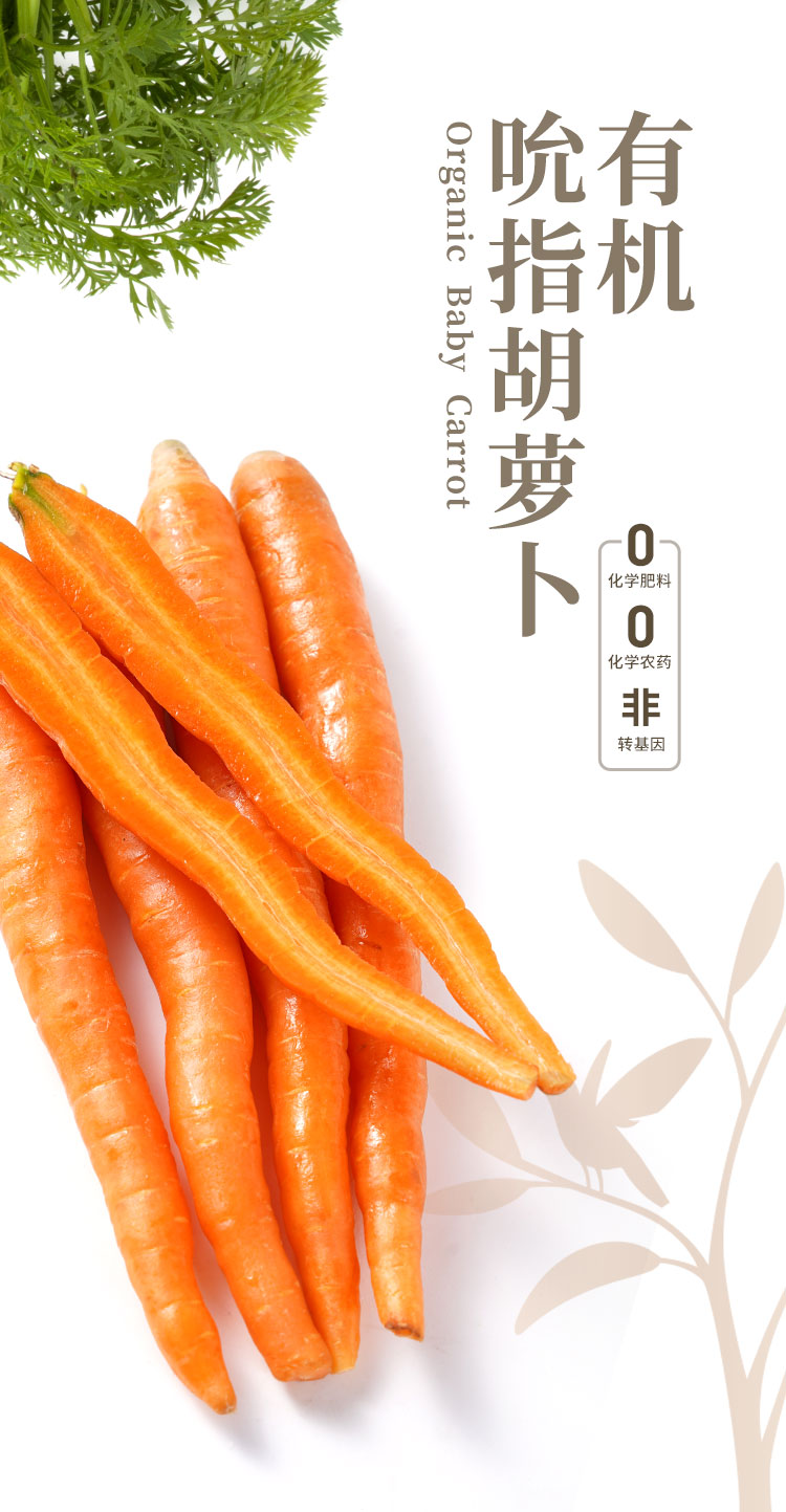 有机吮指胡萝卜-通用_01.jpg