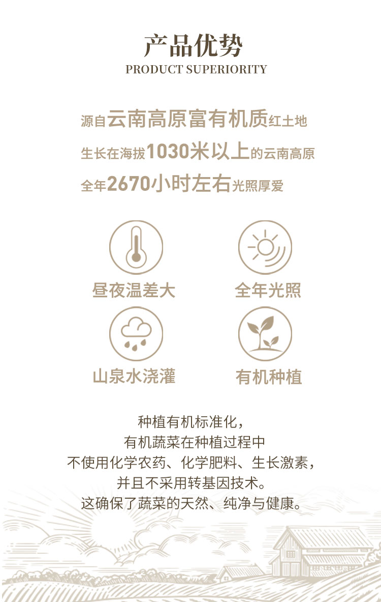有机吮指胡萝卜-通用_04.jpg
