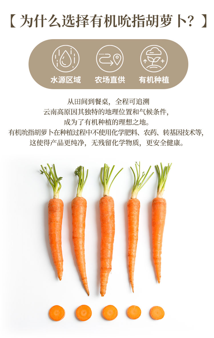 有机吮指胡萝卜-通用_02.jpg